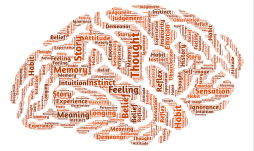 Modern learning theory models of anxiety disorders